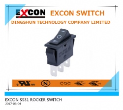 SS31 SINGLE POLE ROCKER SWITCH