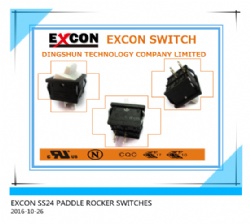 SS24 PADDLE ROCKER SWITCH