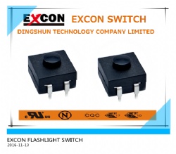 FLASHLIGHT SWITCH